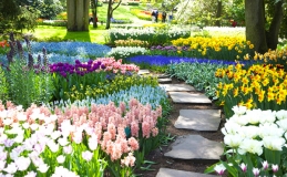 Garden designer a torino – rops Progettazione giardini torino